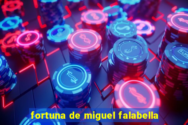 fortuna de miguel falabella